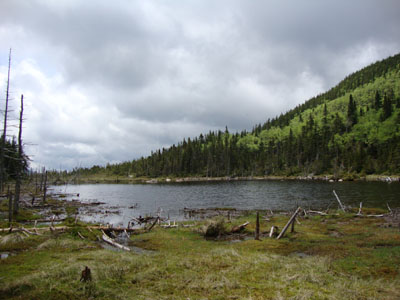 Zeacliff Pond