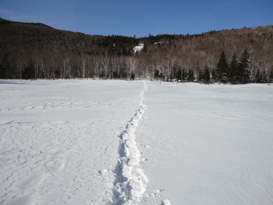 Crossing the pond on the way to the Zealand Hut