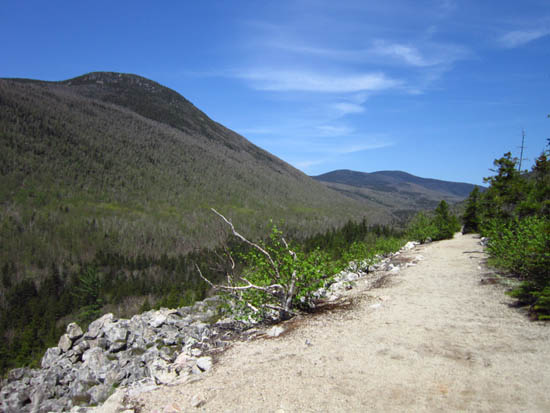 Looking back into Zealand Notch on the Ethan Pond Trail