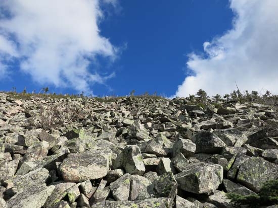 Looking up the Zealand talus slope
