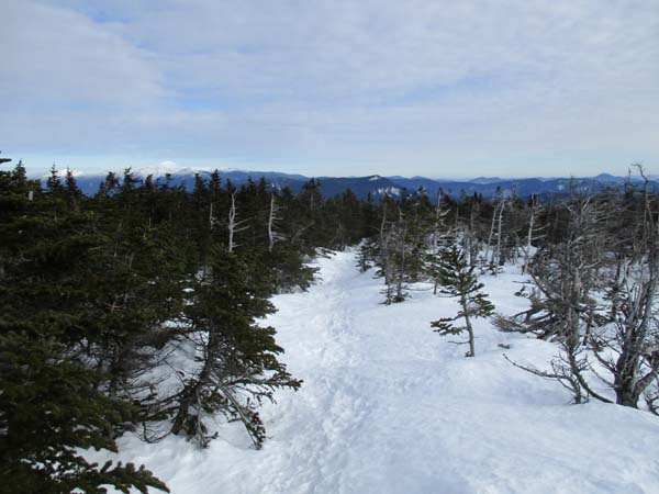The Twinway on the way to Zealand Mountain