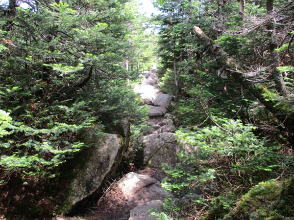 The rocky Twinway on the way to Zealand Mountain