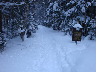 The Zealand Trail trailhead at the end of Zealand Road