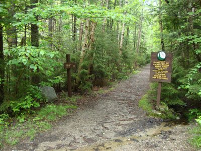 The Zealand Trail trailhead