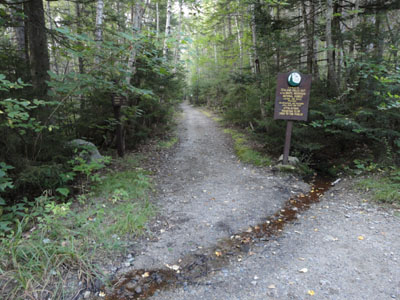 The Zealand Trail trailhead at the end of Zealand Road