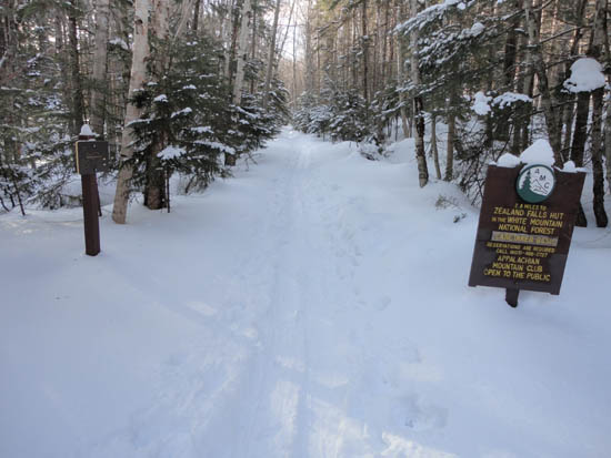 The Zealand Trail trailhead at the end of Zealand Road