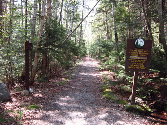 The Zealand Trail trailhead