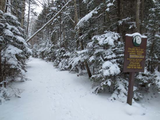 The Zealand Trail trailhead at the end of Zealand Road