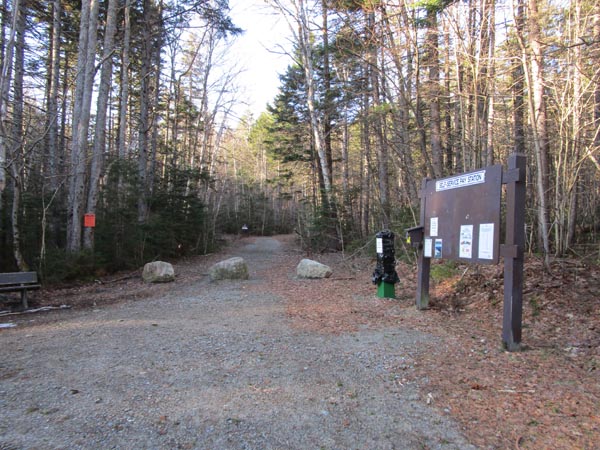 The Zealand Trail trailhead at the end of Zealand Road