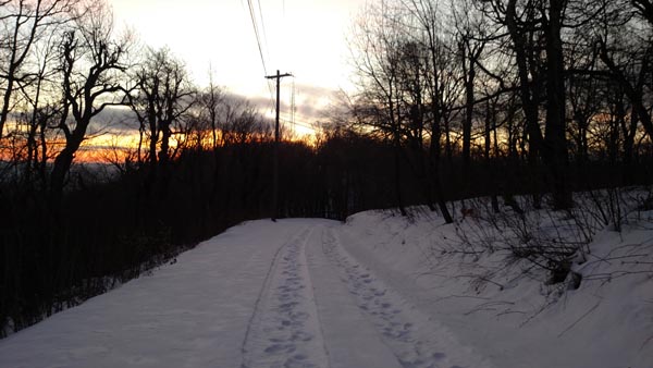 Looking down the access road