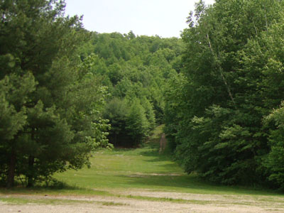 Looking at Diamond Hill from Diamond Hill Park