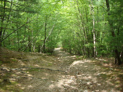 Looking down one of the old ski area lift lines