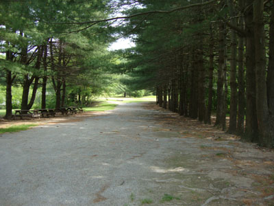The bottom of the old ski area
