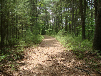 The Jerimoth Hill Trail