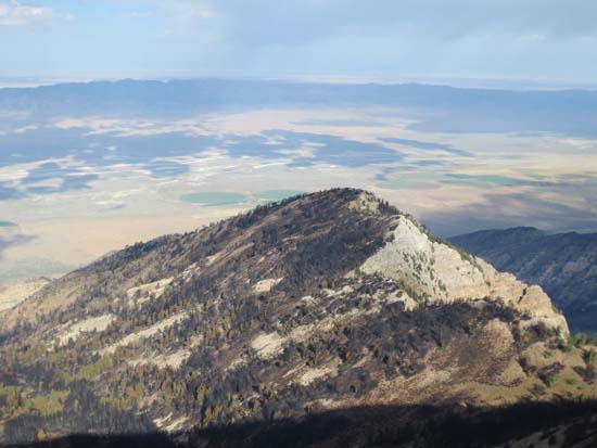 Recent forest fire damage on the west side of the ridge - Click to enlarge