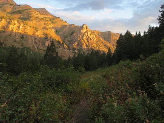 The lower Mill Fork Trail at sunrise