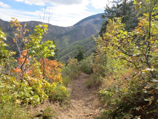 Looking down Malan's Basin Trail