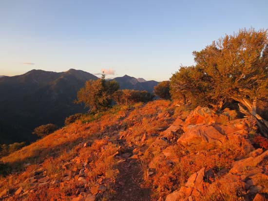 The Mt. Aire Trail