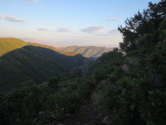 The Mt. Aire Trail
