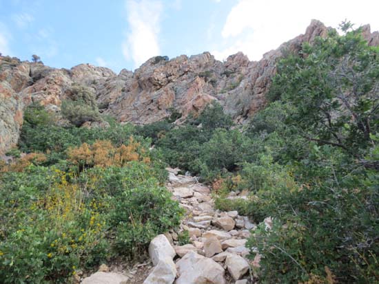 The upper Mt. Olympus Trail