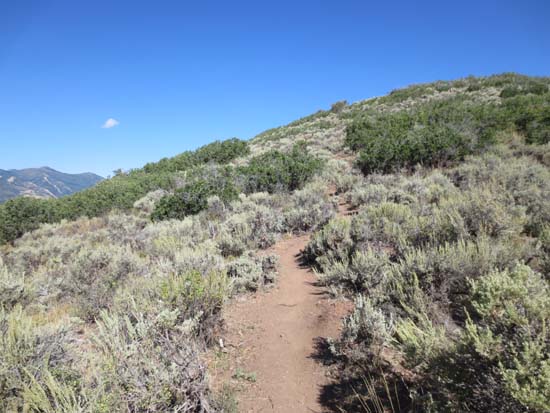 Looking up the PC Hill Trail