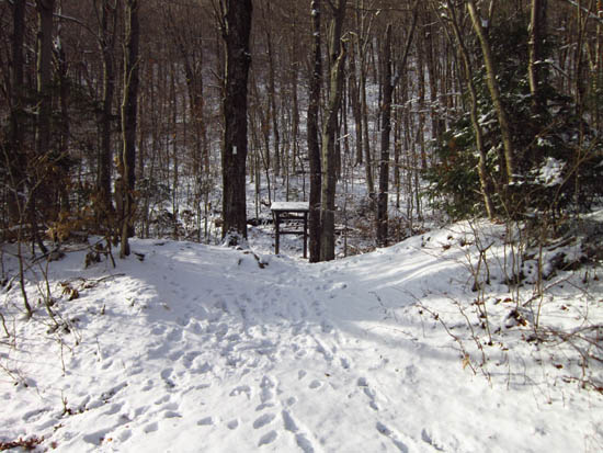 The Long Trail trailhead off Route 108