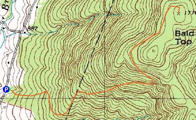 Topographic map of Bald Top