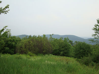 The Bald Top summit area