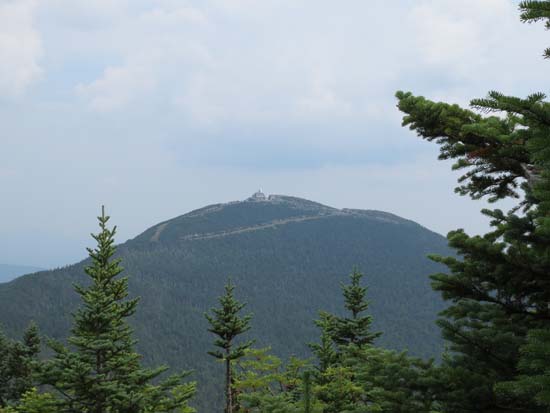 Looking at Jay Peak from near the Big Jay summit - Click to enlarge