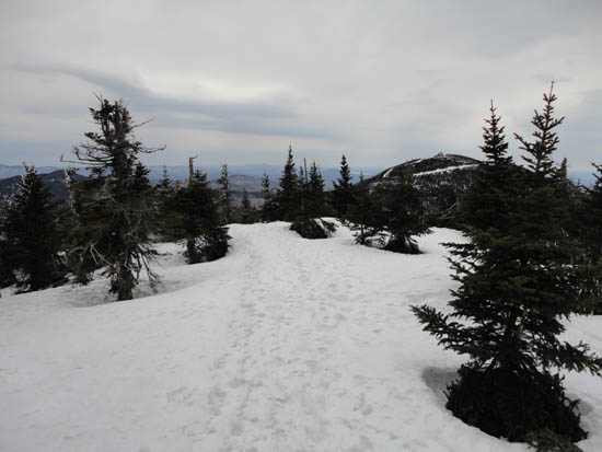 The herd path on the way to Big Jay