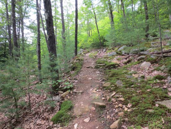 The Black Mountain Trail
