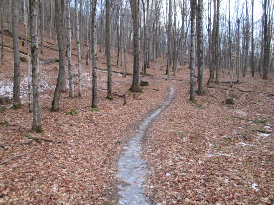 Looking up the Red Trail