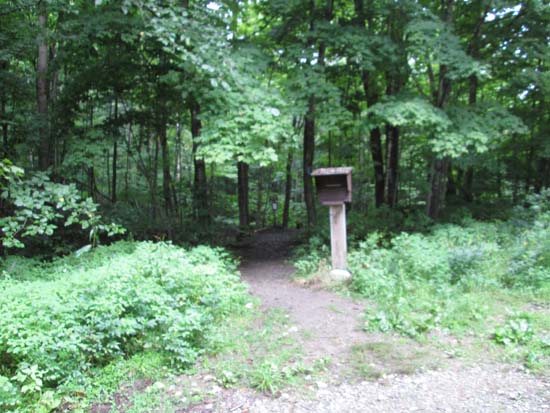 The Hedgehog Brook Trail trailhead