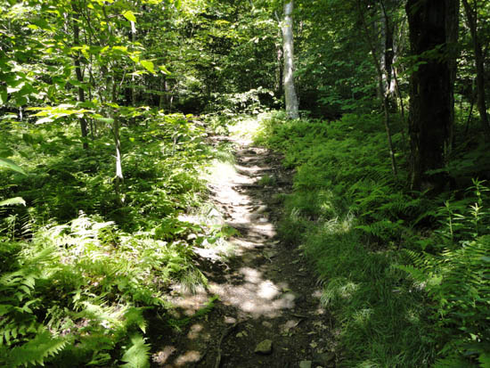 The Monroe Trail