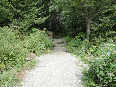 The Burrows Trail trailhead