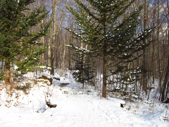The Burrows Trail trailhead