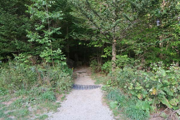 The Burrows Trail trailhead