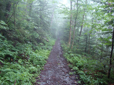 Looking down the Jeep road just above the first height of land