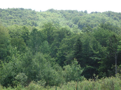 Dutch Hill as seen from Route 8