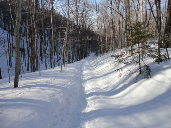 Looking down the Elmore Mountain Trail