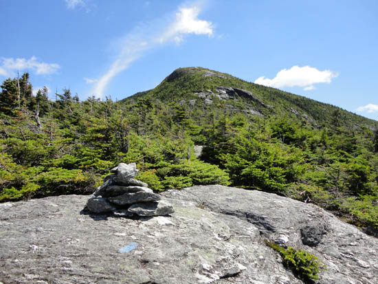 Looking up the Maple Ridge Trail