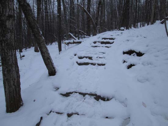 Looking up the Gile Mountain Tower Trail