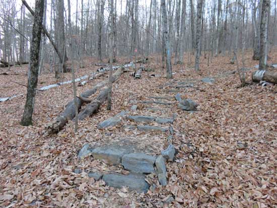 Looking up the Gile Mountain Tower Trail