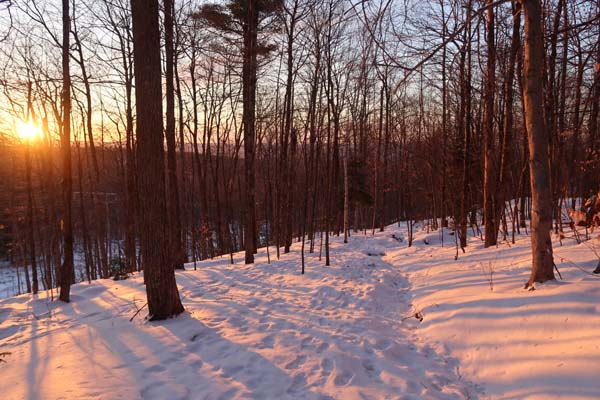 The Gile Mountain Tower Trail