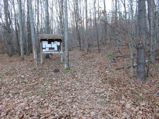 The Gile Mountain Tower Trail trailhead