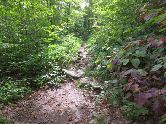 The Haystack Mountain Trail