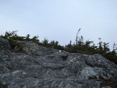 The Long Trail near the Jay Peak summit