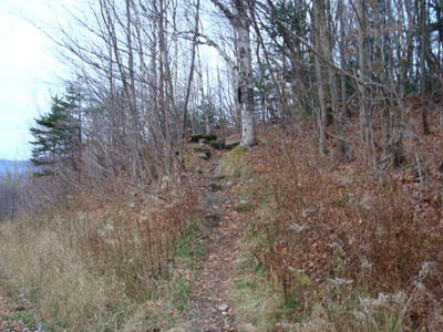 The Long Trail trailhead on Route 242