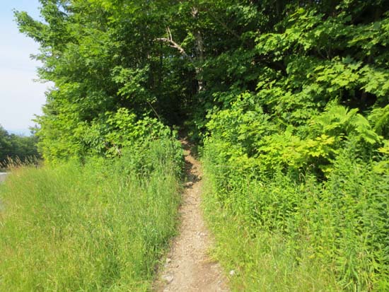 The Long Trail trailhead on Route 242