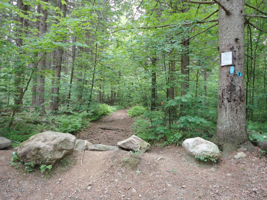The Bucklin Trail trailhead